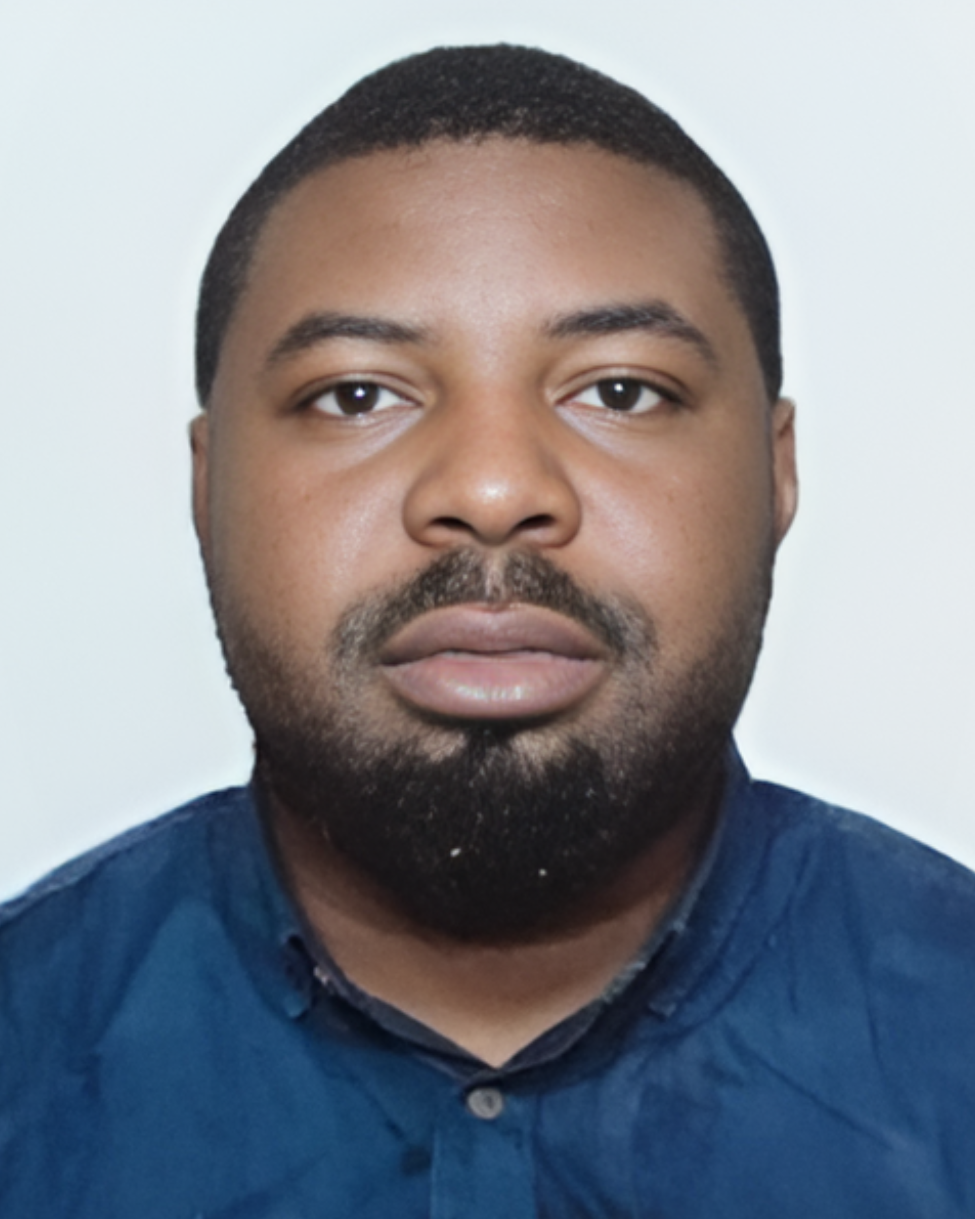 Business Developer/Solution Architect